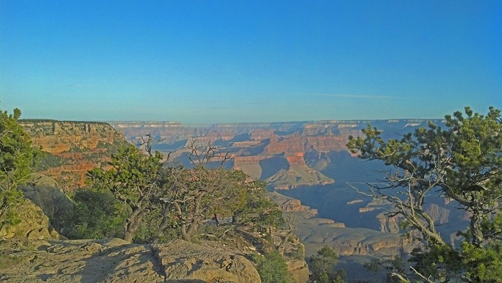 Grand Canyon 7: North Rim art print by William Tenoever for $57.95 CAD