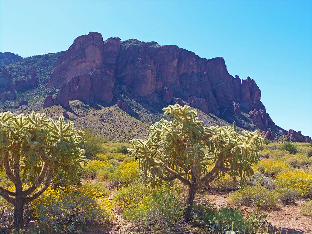 Superstition Mountain III art print by William Tenoever for $57.95 CAD