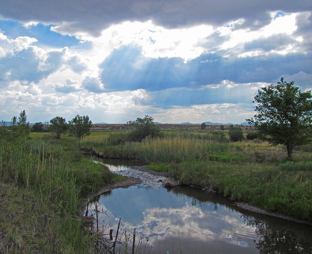 Becker Lake Wildlife Preserve art print by William Tenoever for $57.95 CAD