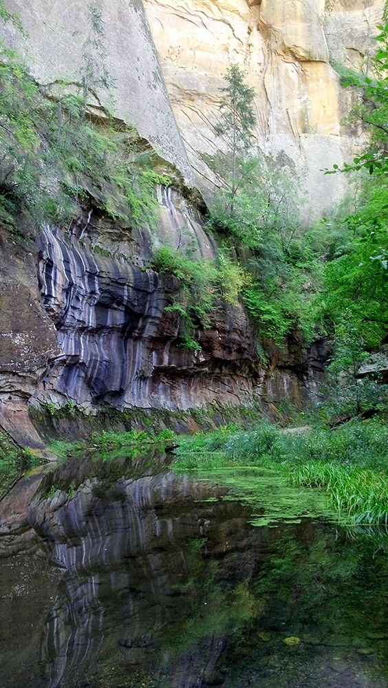 Oak Creek Canyon II art print by William Tenoever for $57.95 CAD
