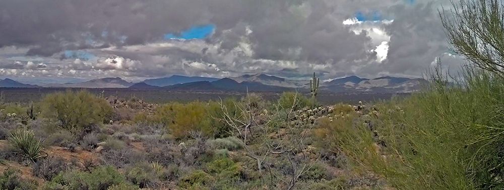Desert Scape I art print by William Tenoever for $57.95 CAD