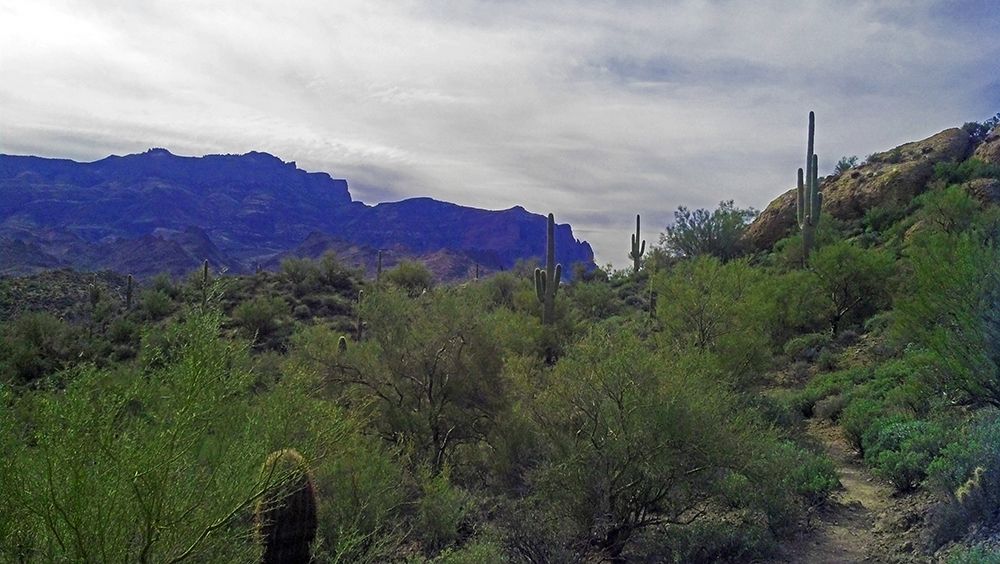 Superstition Mountain I art print by William Tenoever for $57.95 CAD