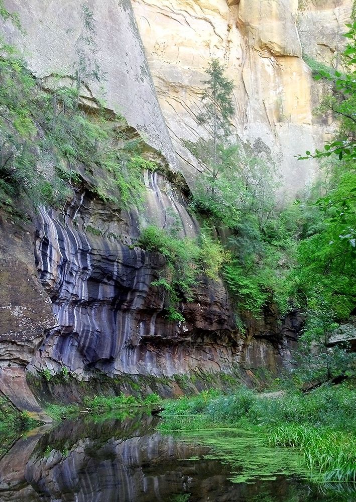 Oak Creek Canyon III art print by William Tenoever for $57.95 CAD