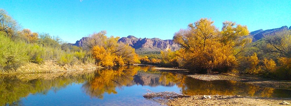 Salt RIver in Fall I art print by William Tenoever for $57.95 CAD