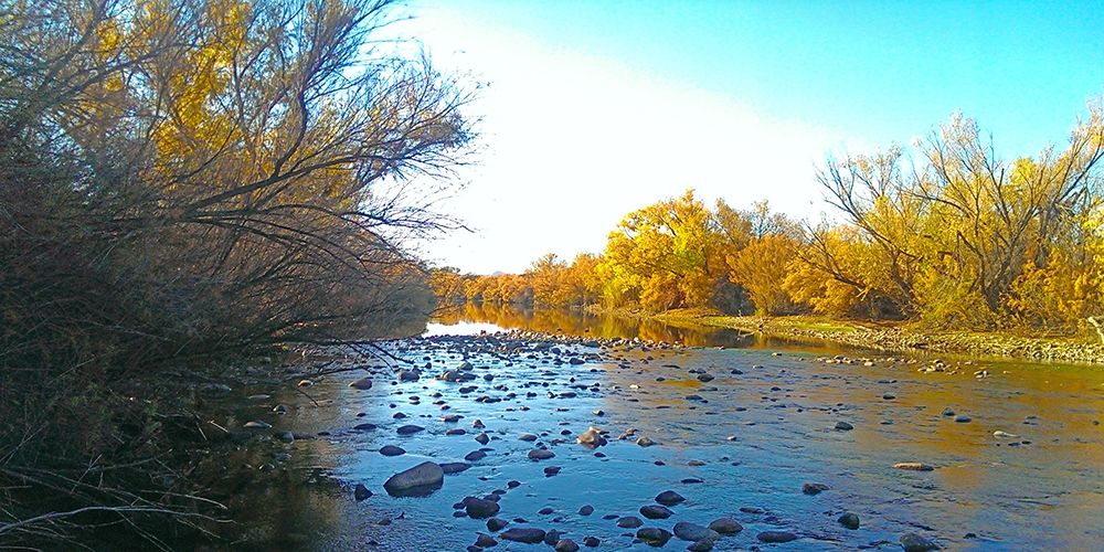 Salt RIver in Fall II art print by William Tenoever for $57.95 CAD