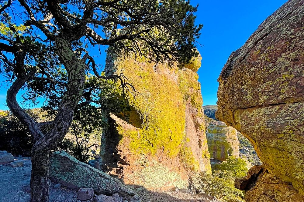 Chiricahua 1 art print by William Tenoever for $57.95 CAD