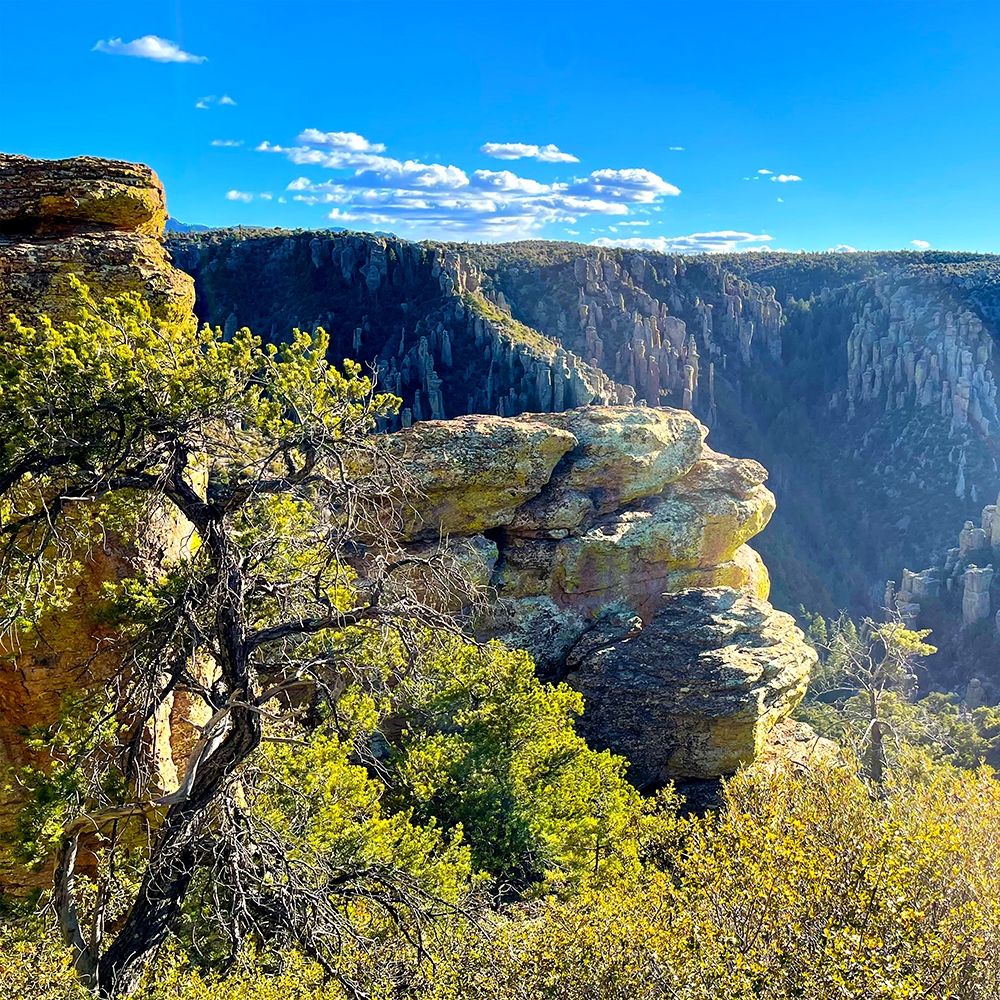 Chiricahua 2 art print by William Tenoever for $57.95 CAD