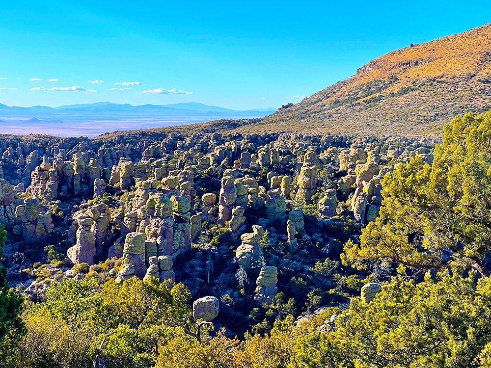 Chiricahua 5 art print by William Tenoever for $57.95 CAD