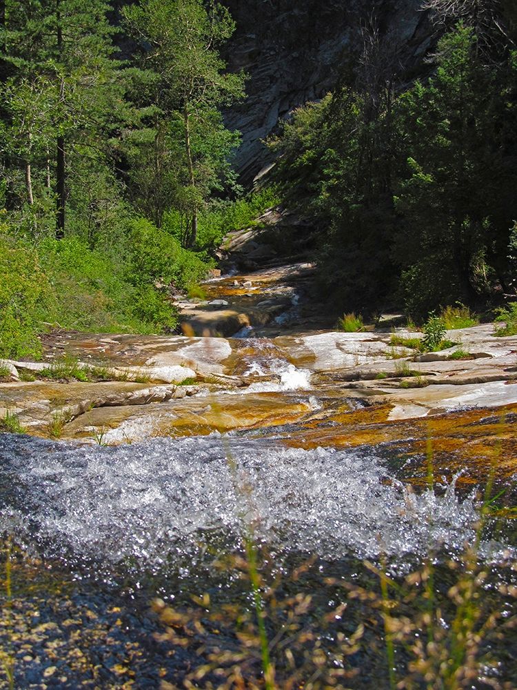 Riparian IV art print by William Tenoever for $57.95 CAD