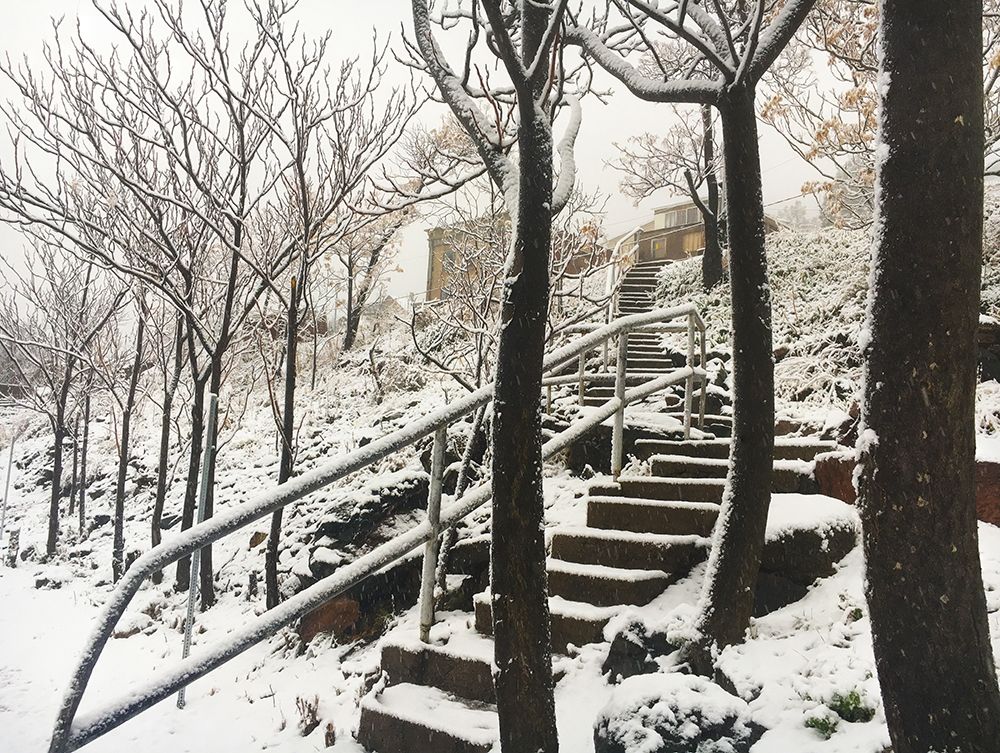 Jerome Snowy Stairs I art print by William Tenoever for $57.95 CAD