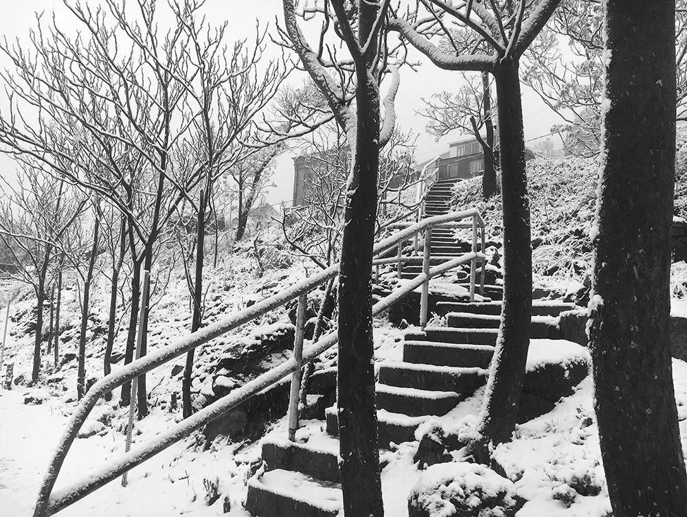 Jerome Snowy Stairs III BandW art print by William Tenoever for $57.95 CAD