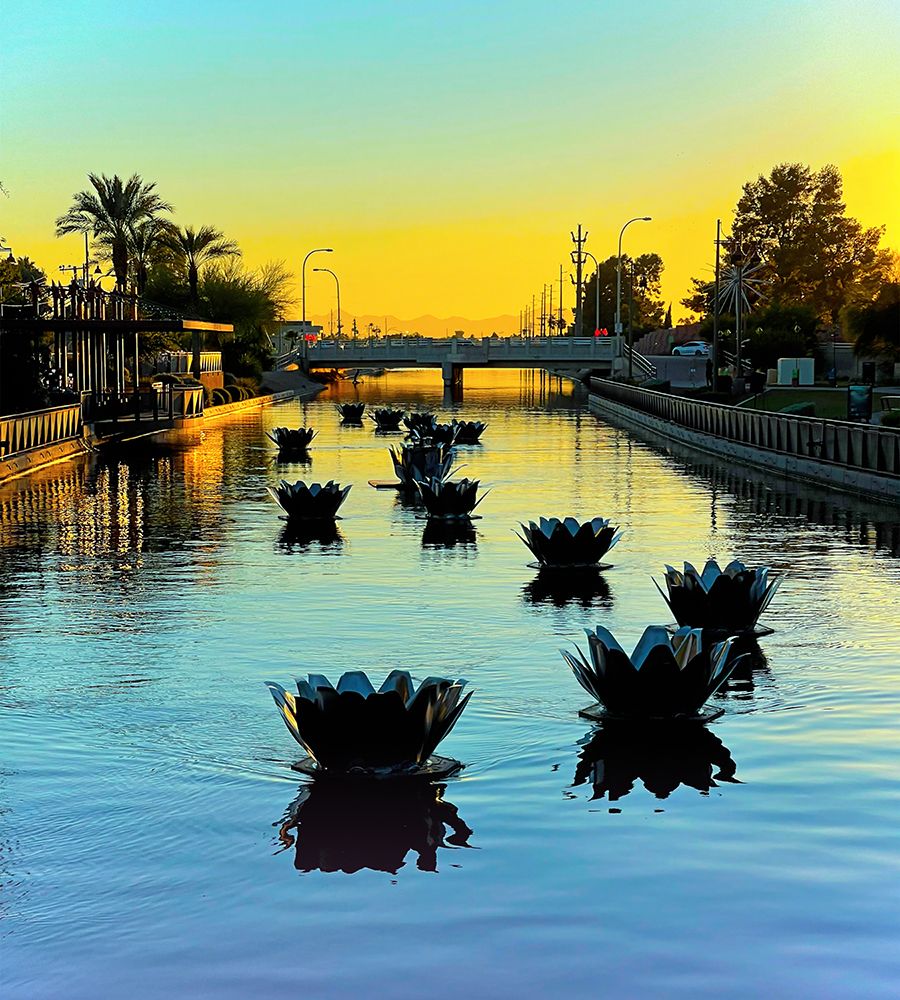 Scottsdale:FloatusBlossoms art print by William Tenoever for $57.95 CAD