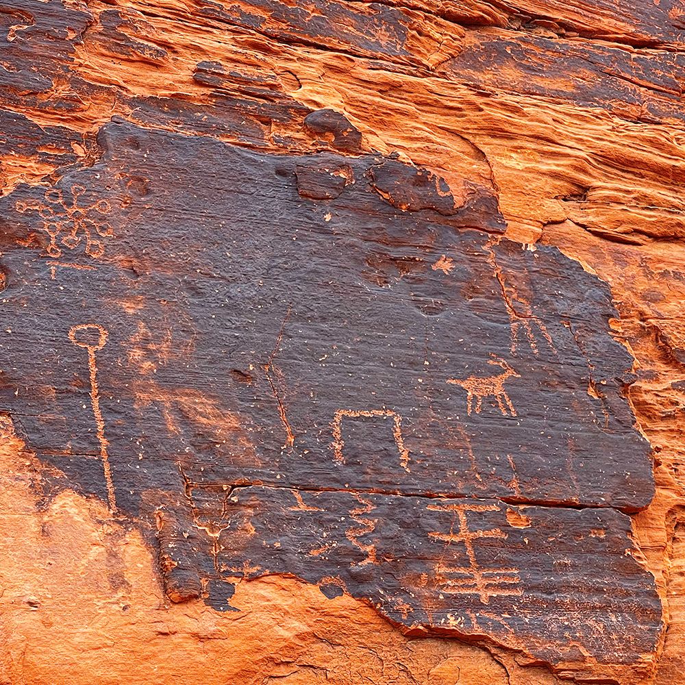 ValleyOfFire:Petroglyphs2 art print by William Tenoever for $57.95 CAD