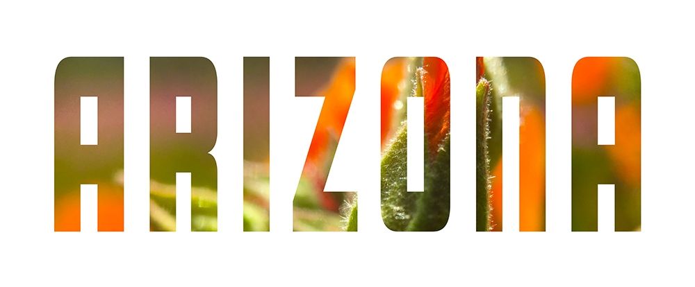 Arizona art print by William Tenoever for $57.95 CAD