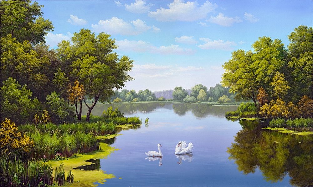 Landscape with swans art print by Vyacheslav Babichev for $57.95 CAD