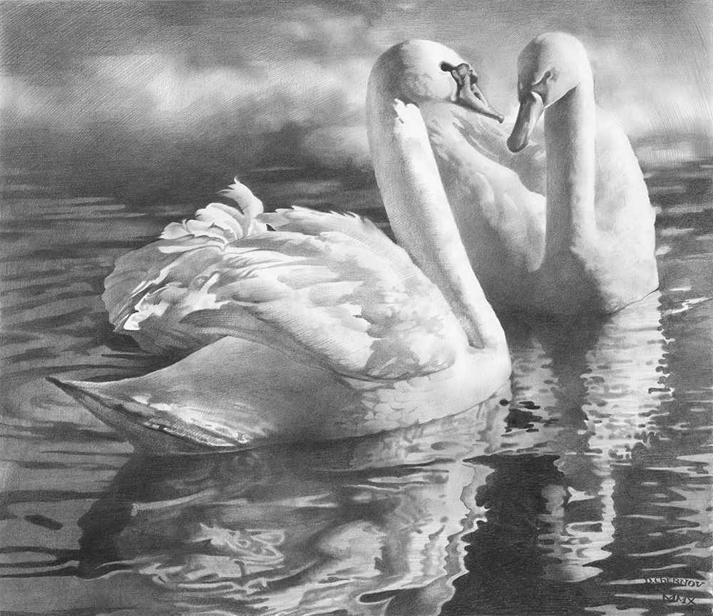 Two swans art print by Denis Chernov for $57.95 CAD