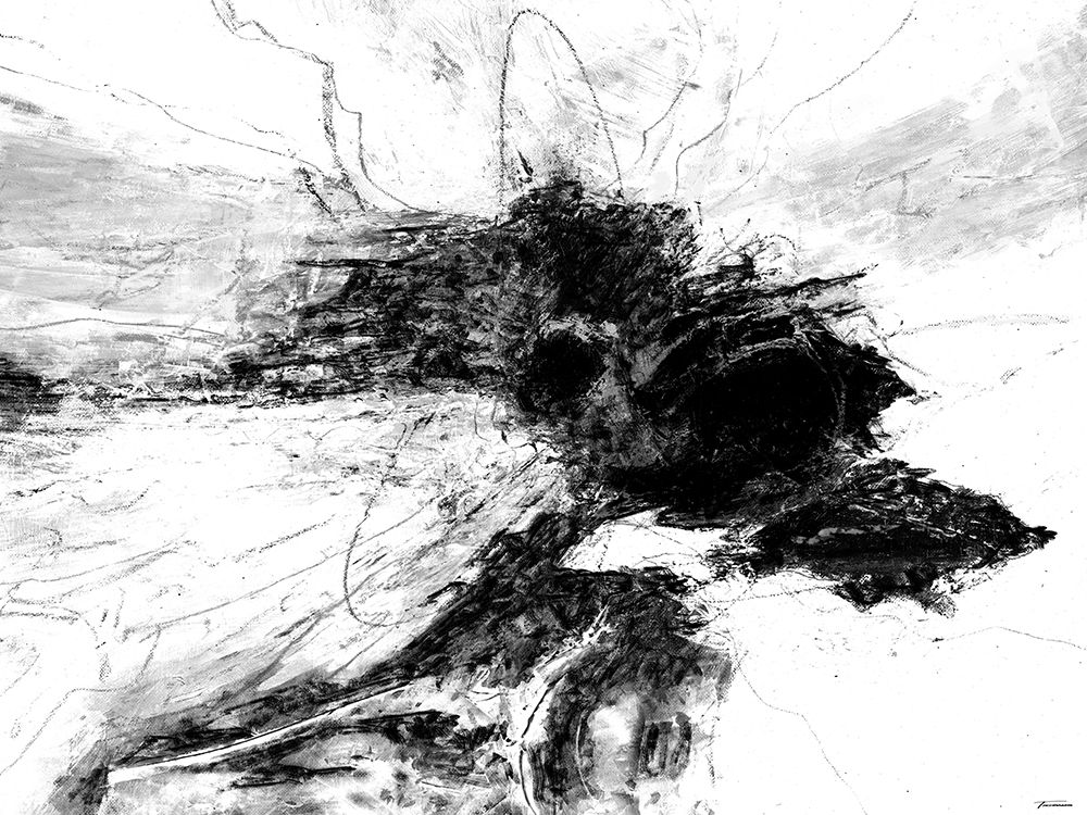 B and W II art print by Michael Tienhaara for $57.95 CAD