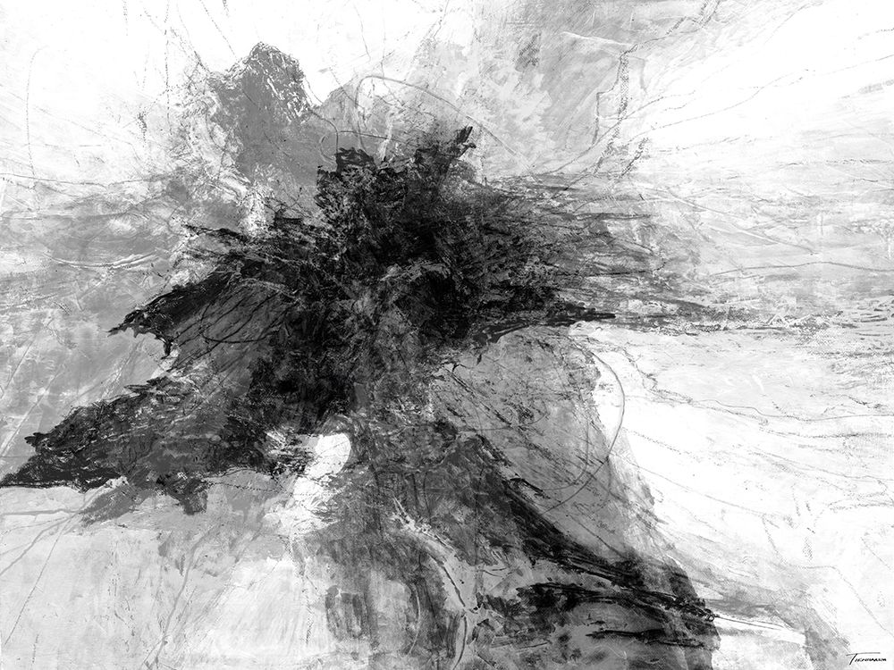 B and W III art print by Michael Tienhaara for $57.95 CAD
