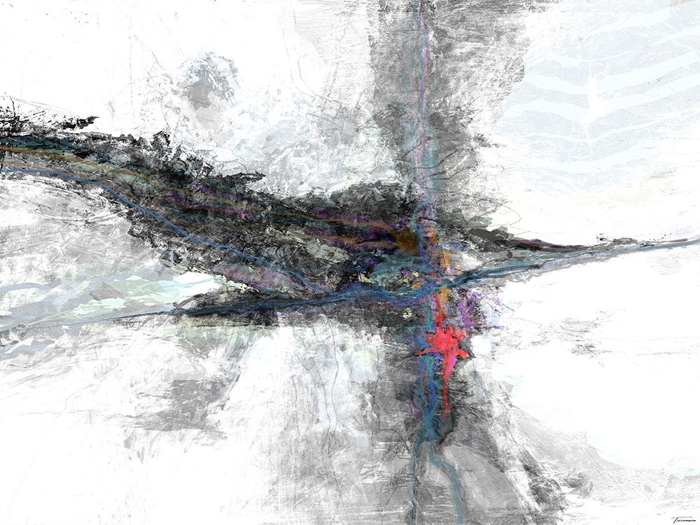 B and W I Color Accents II art print by Michael Tienhaara for $57.95 CAD