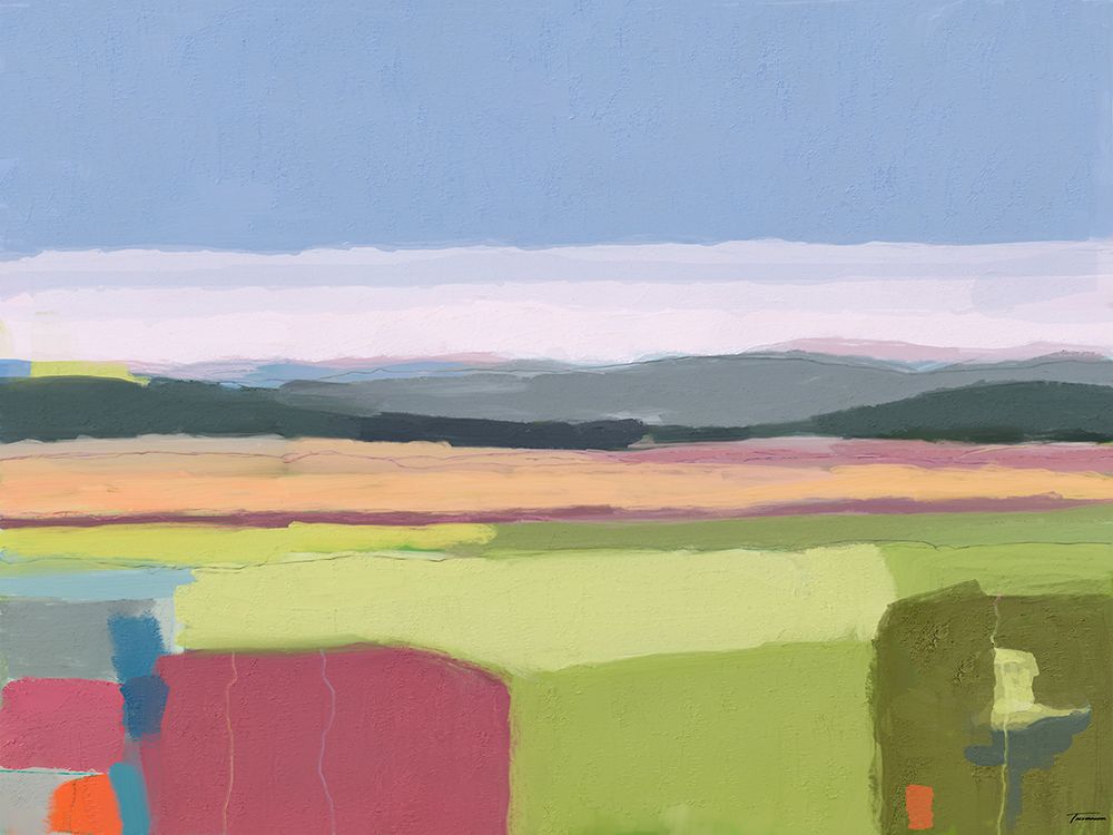 CGC 4019 art print by Michael Tienhaara for $57.95 CAD