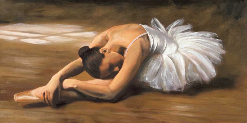 Danseuse art print by Andrea Bassetti for $57.95 CAD