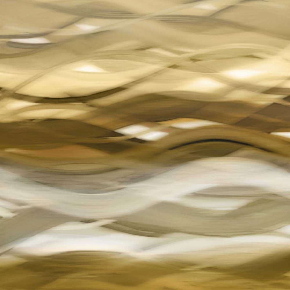 Splendid II art print by Annie Campbell for $57.95 CAD