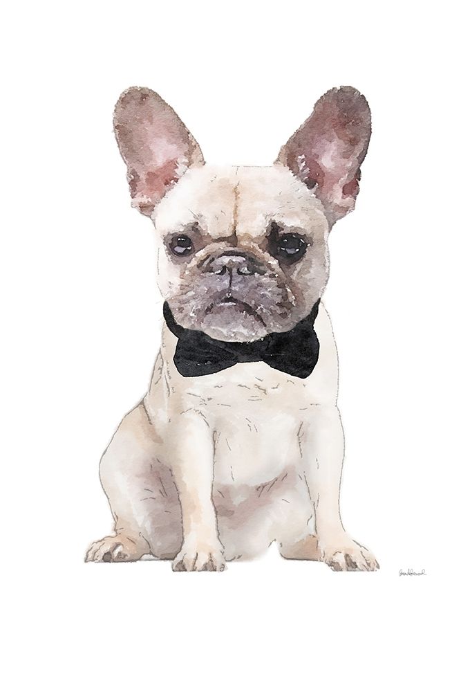 Frenchie II art print by Amanda Greenwood for $57.95 CAD