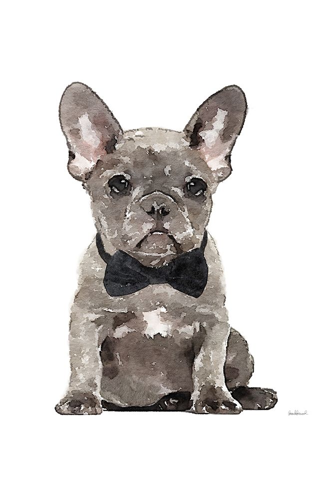 Frenchie IV art print by Amanda Greenwood for $57.95 CAD