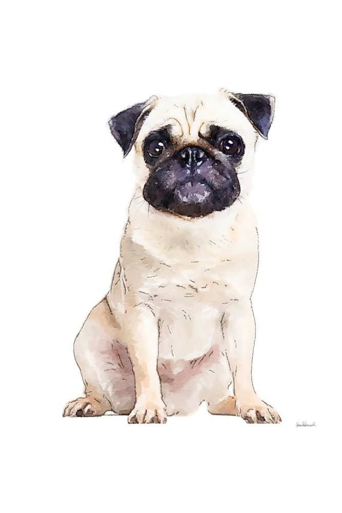 Pug art print by Amanda Greenwood for $57.95 CAD
