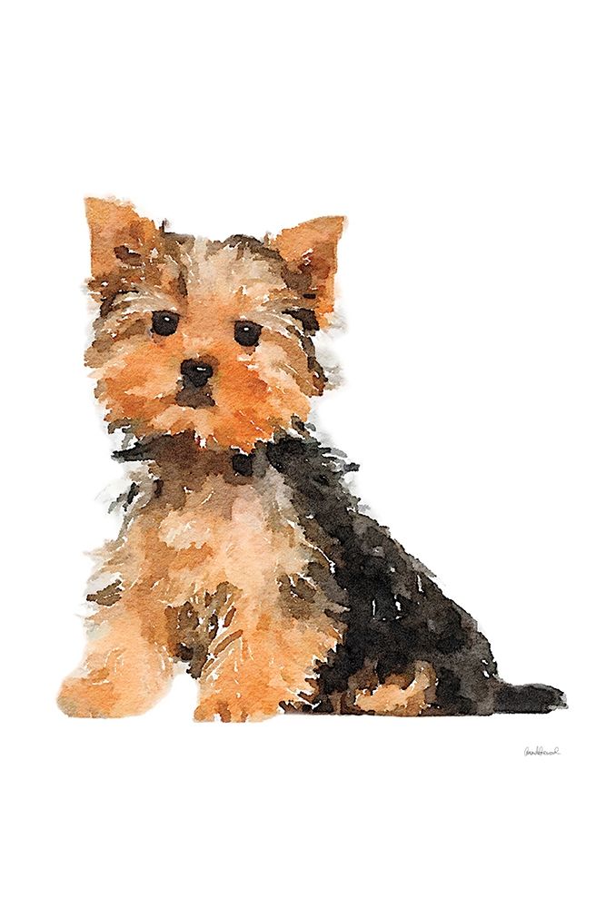 Yorkie art print by Amanda Greenwood for $57.95 CAD