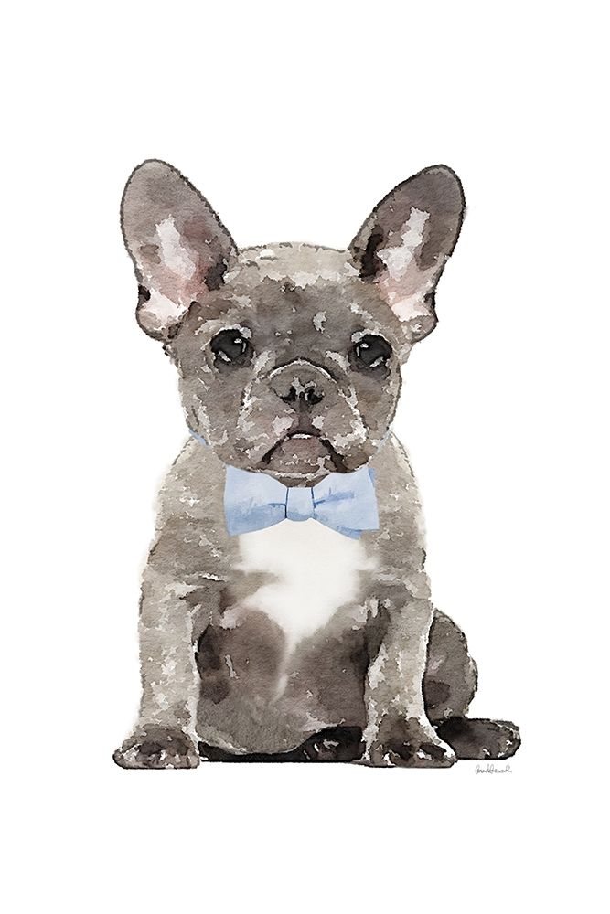 Frenchie VI art print by Amanda Greenwood for $57.95 CAD