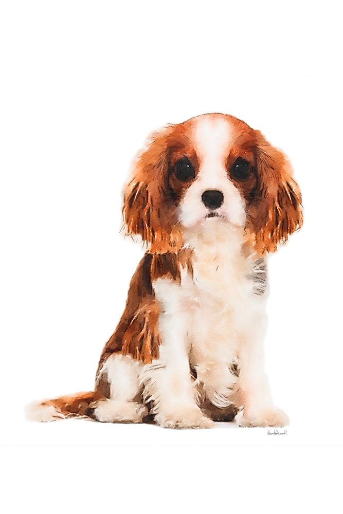 King Charles Spaniel Puppy art print by Amanda Greenwood for $57.95 CAD