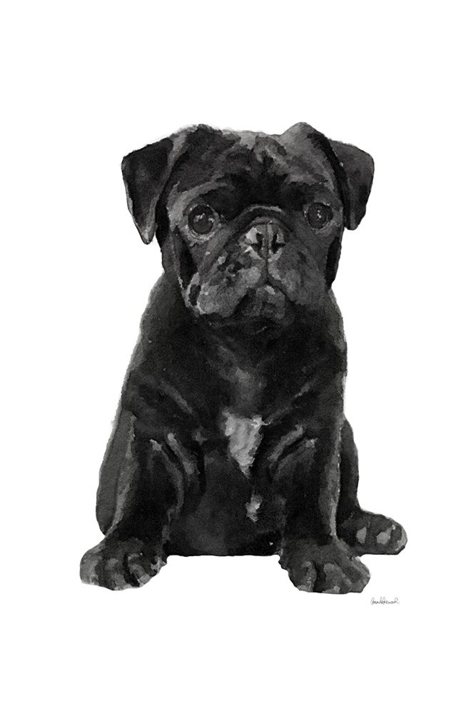 Pug II art print by Amanda Greenwood for $57.95 CAD