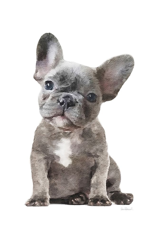 Frenchie IX art print by Amanda Greenwood for $57.95 CAD