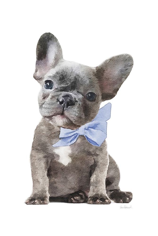 Frenchie XI art print by Amanda Greenwood for $57.95 CAD