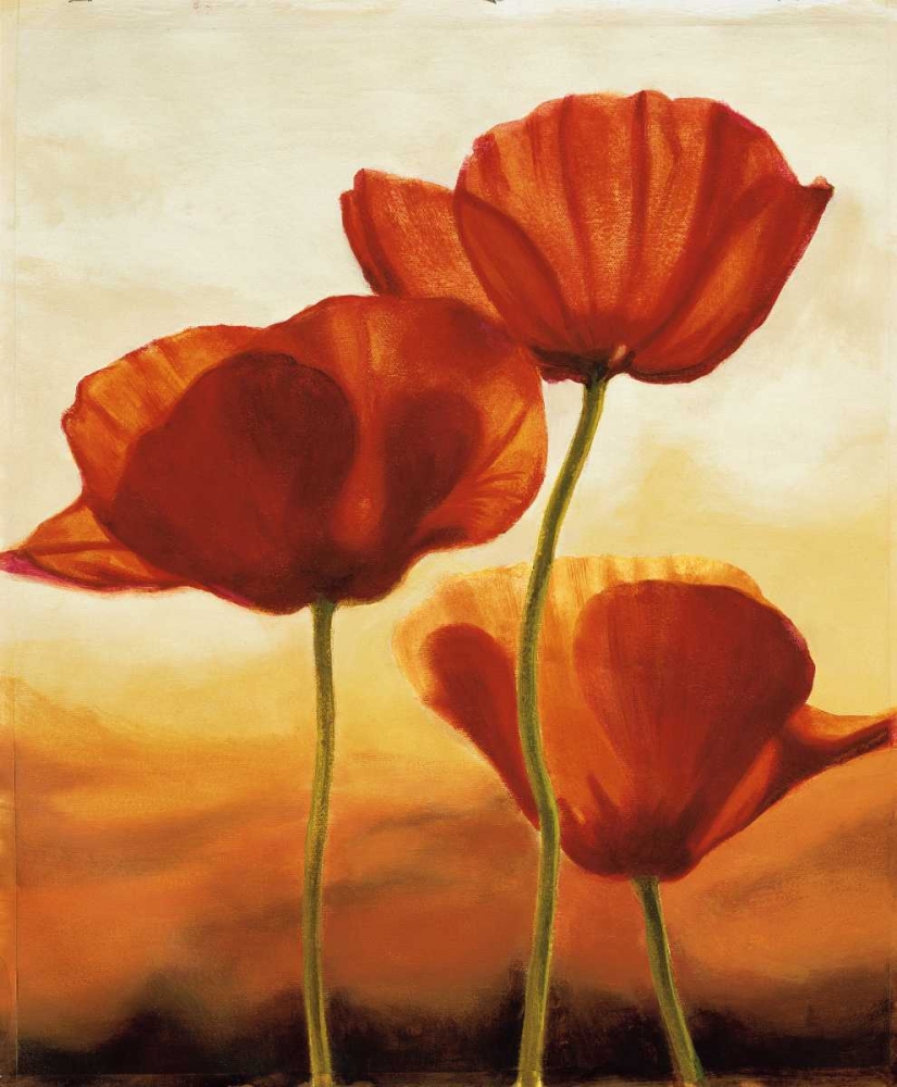 Poppies in Sunlight I art print by Andrea Kahn for $57.95 CAD