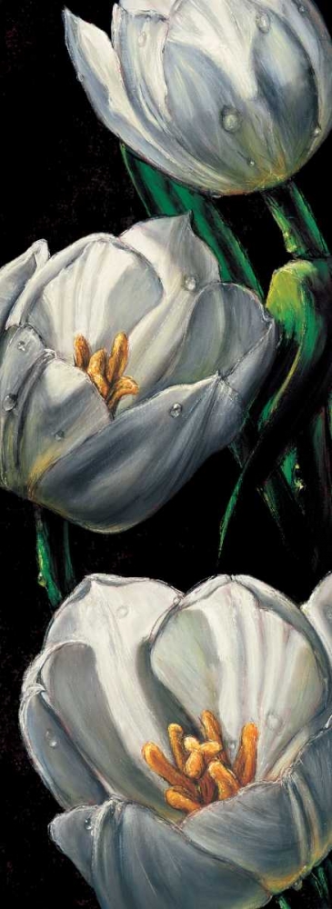 Dewdrop Tulips art print by Alma Ch for $57.95 CAD