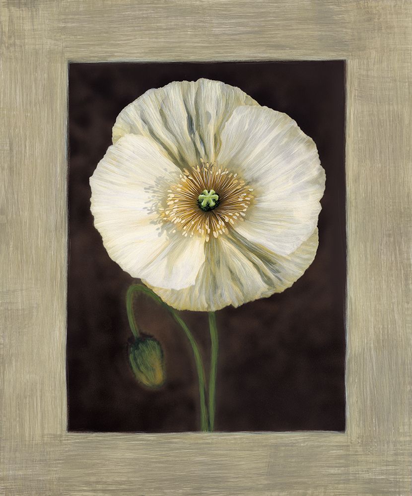 Flora I art print by Andrea Trivelli for $57.95 CAD