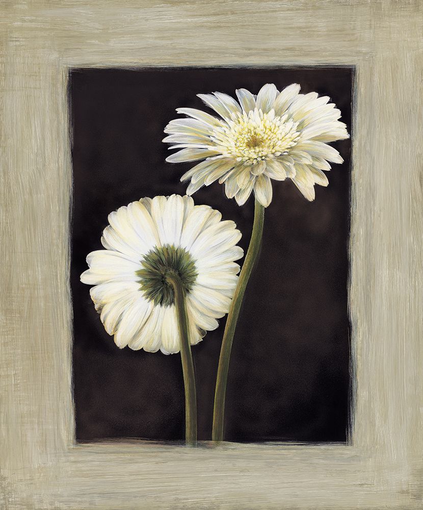 Flora II art print by Andrea Trivelli for $57.95 CAD
