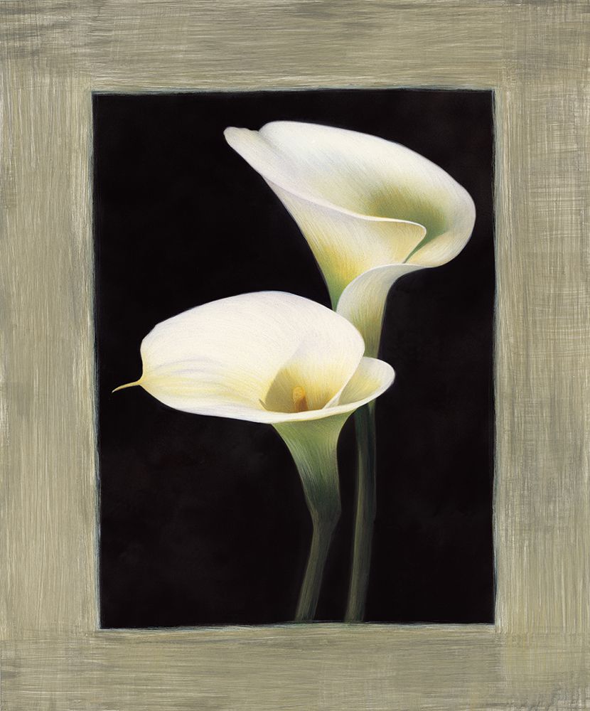 Calle art print by Andrea Trivelli for $57.95 CAD
