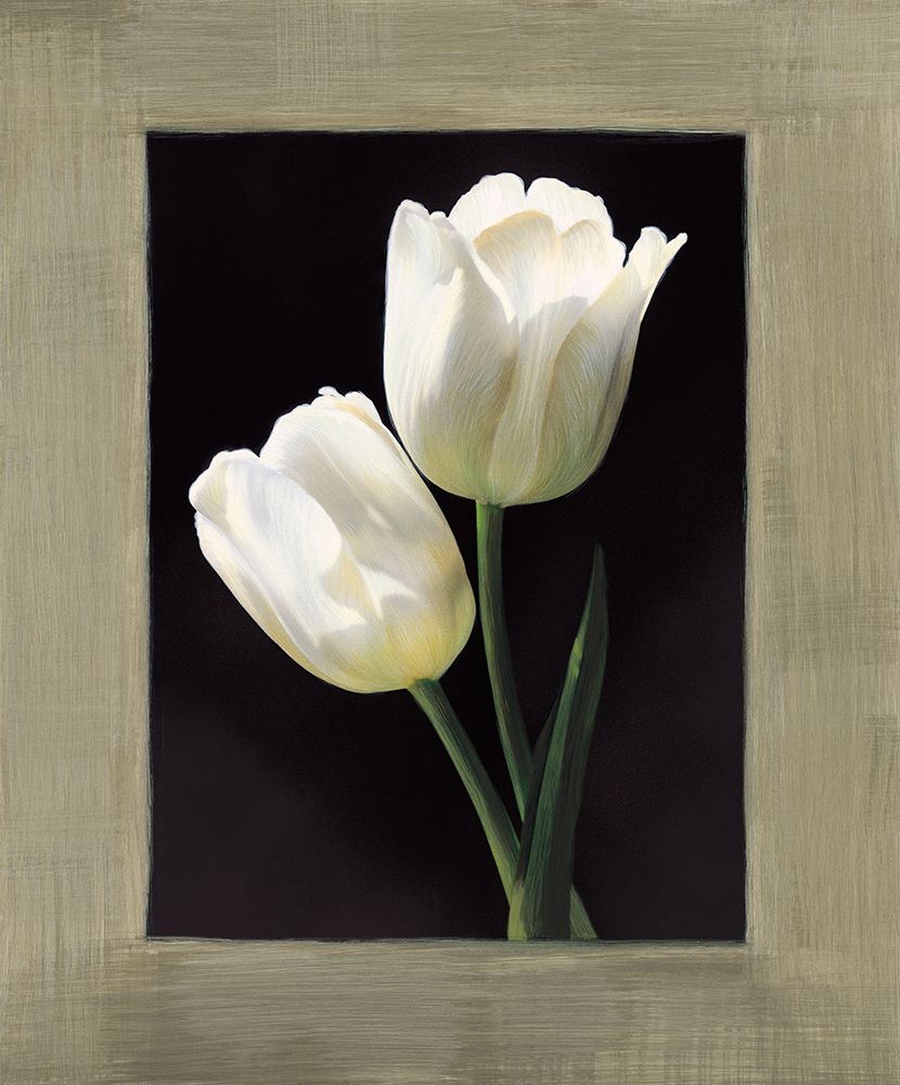Tulipani bianchi art print by Andrea Trivelli for $57.95 CAD