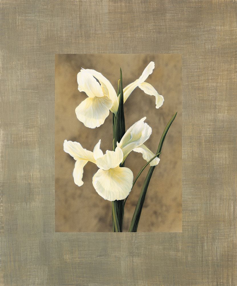 Iris art print by Andrea Trivelli for $57.95 CAD