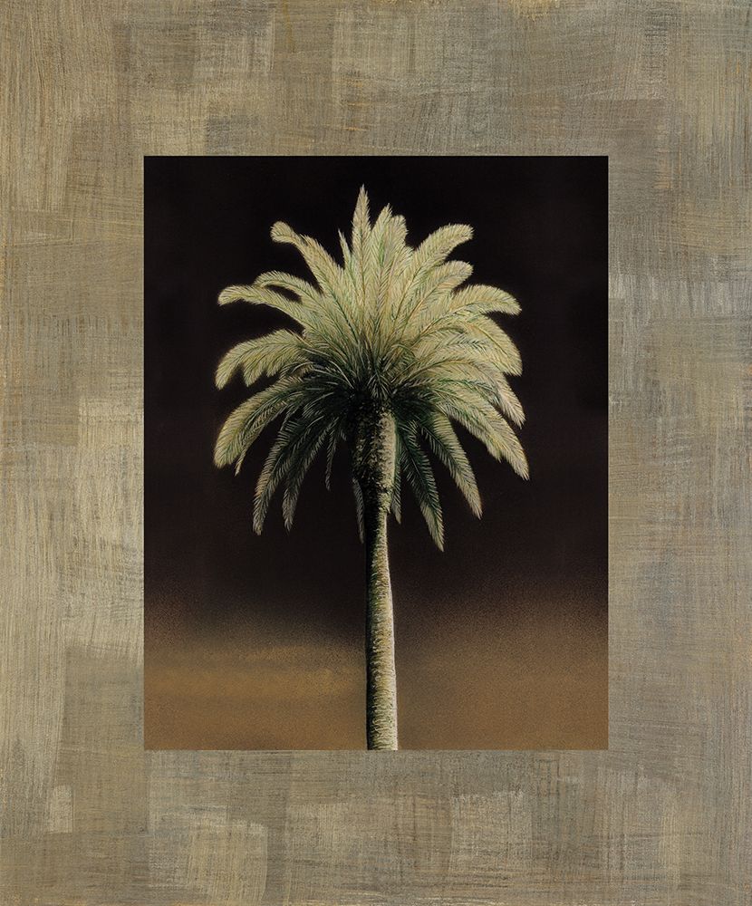 Palmas I art print by Andrea Trivelli for $57.95 CAD