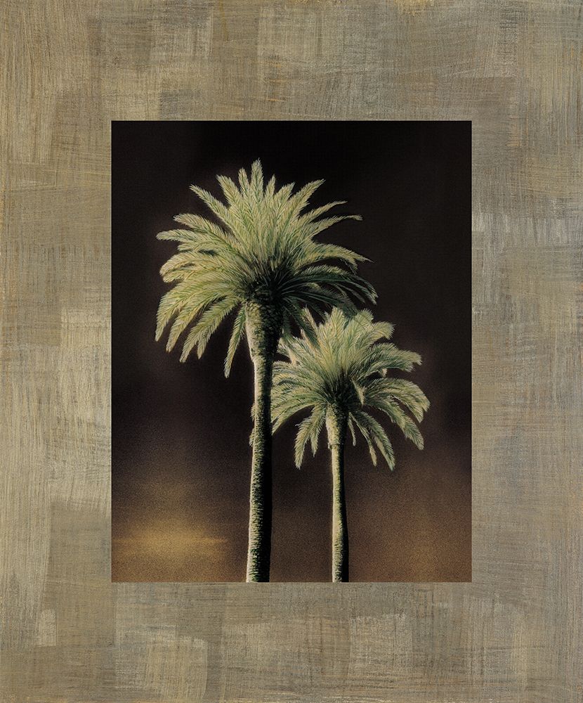 Palmas II art print by Andrea Trivelli for $57.95 CAD