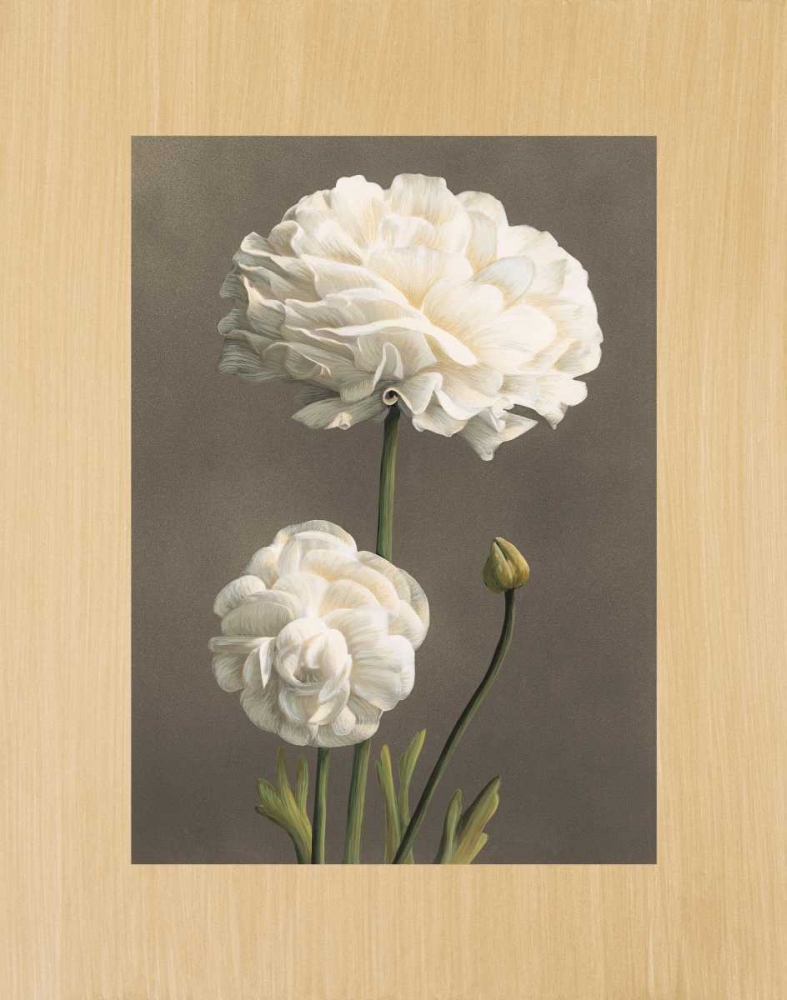 Dalie art print by Andrea Trivelli for $57.95 CAD