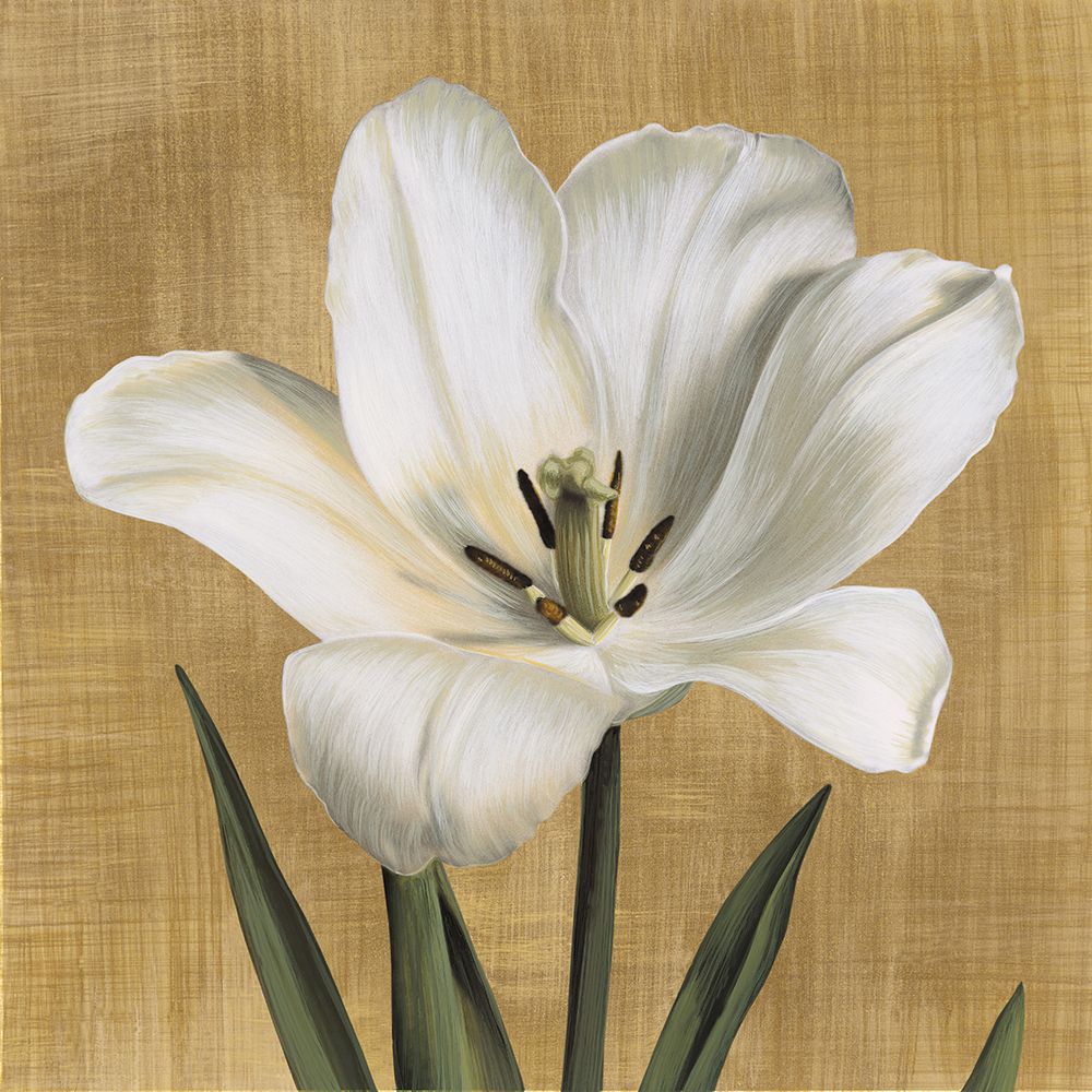 Tulipano art print by Andrea Trivelli for $57.95 CAD
