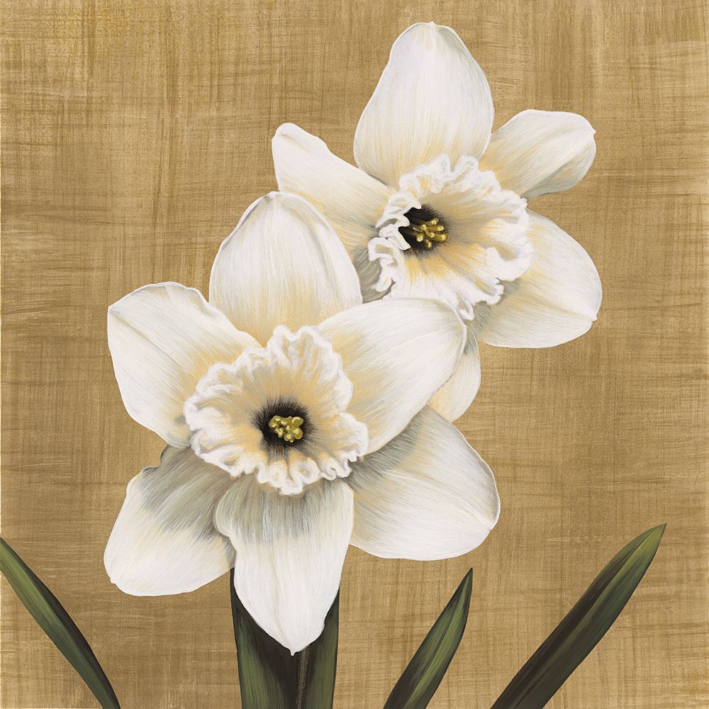 Narcisi art print by Andrea Trivelli for $57.95 CAD