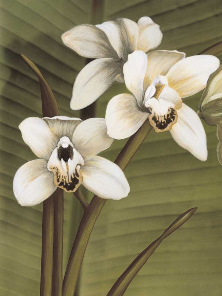 Orchid with Palm I art print by Andrea Trivelli for $57.95 CAD
