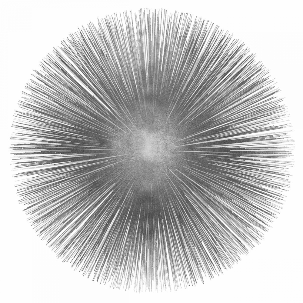 Silver Sunburst I art print by Abby Young for $57.95 CAD
