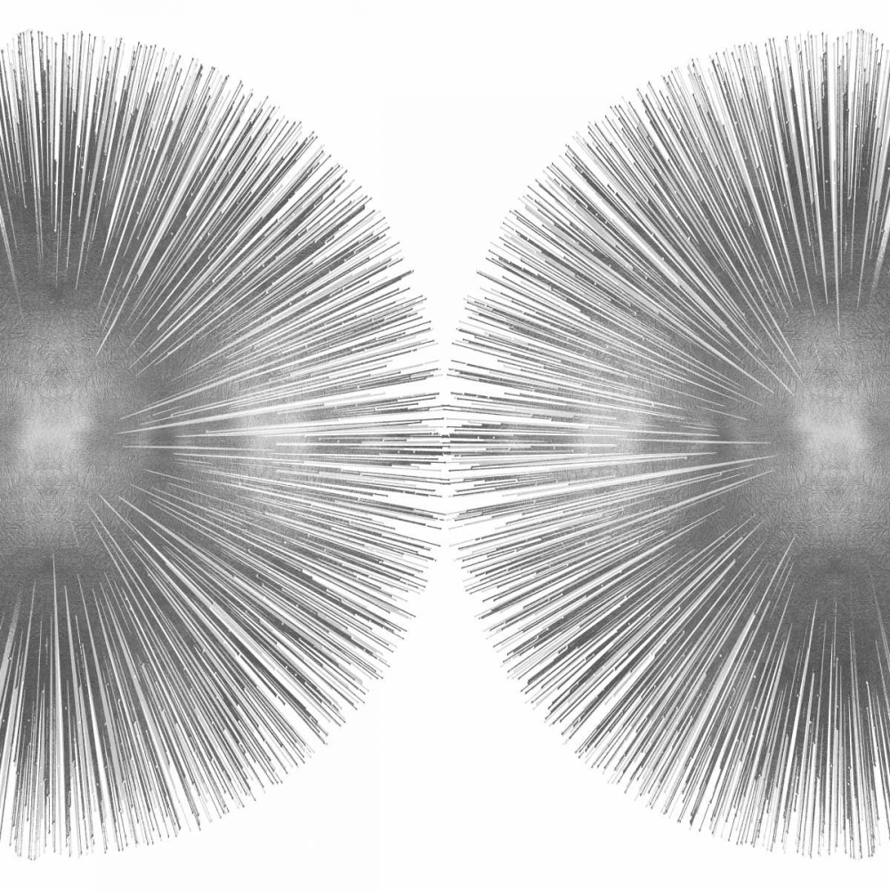 Silver Sunburst II art print by Abby Young for $57.95 CAD